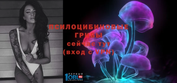 метадон Горняк