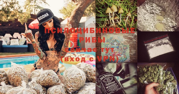 apvp Горнозаводск