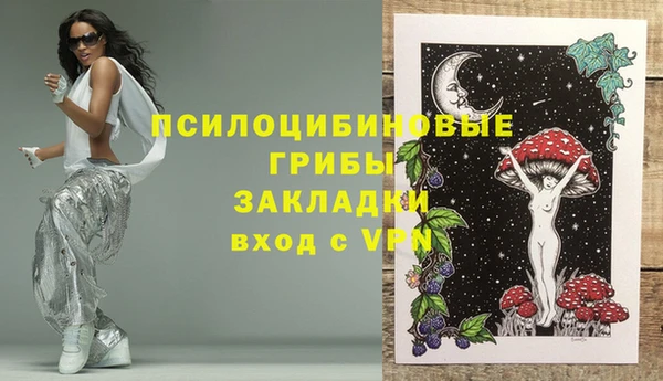 дмт Гусь-Хрустальный