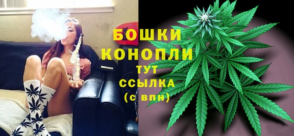 метадон Горняк