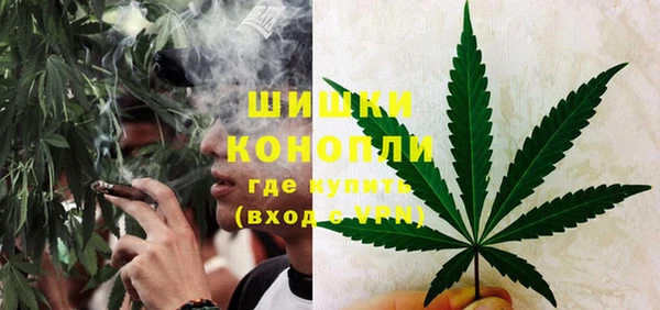 PSILOCYBIN Гусиноозёрск