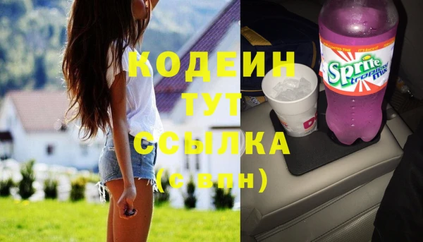 apvp Горнозаводск