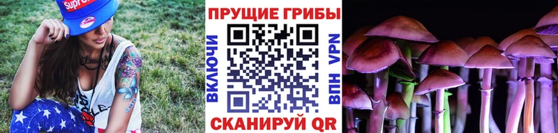 Псилоцибиновые грибы Magic Shrooms  Нефтеюганск 
